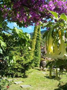 The Secret Garden Maratea - Casa di Sery