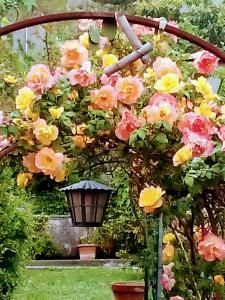 The Secret Garden Maratea - Casa di Sery