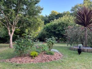 Maisons de vacances Gite cosy sur jardin : photos des chambres