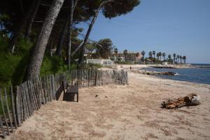 Appartements jardin plage avec 2 paddles, du calme et de l'ombre : photos des chambres