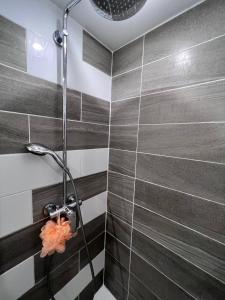 Location estival parfaite : Studio à 50 mètres de la plage, offrant une magnifique vue mer