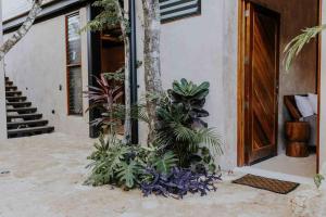 Luxury treehouse Tulum jungle Casa Danzantes