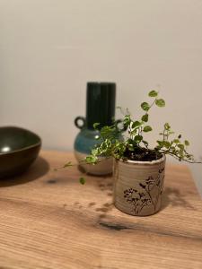 Guest Radic Apartment 3