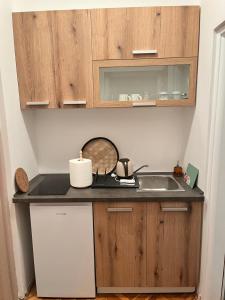 Guest Radic Apartment 3