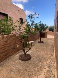 GRANDIOSO CHALET EN CASTELL DE POBLA MONTORNES