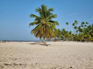 Your Little Paradise - Juan Dolio