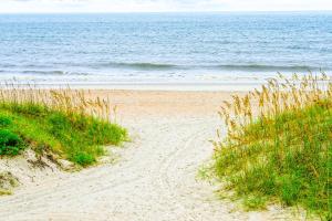 Ocean-View Hideaway Steps to Beach Snowbird Availability