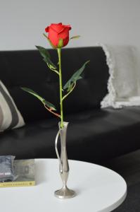 Disfruta de San Telmo con Estilo y Comodidad