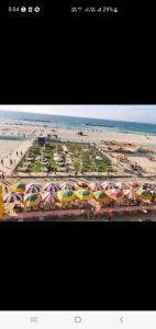 شاطيء النخيل