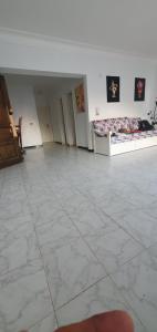 شاطيء النخيل