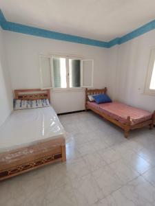 شاطيء النخيل