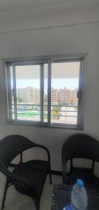 شاطيء النخيل