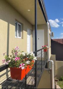 Departamentos Tomás Mason