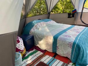 Tentes de luxe Tente octogonale ideal pause rando - aucun animal accepte : photos des chambres