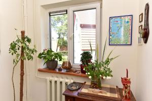 Apartments Near the Sea