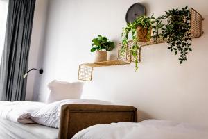 Tisza Camping Apartmanház