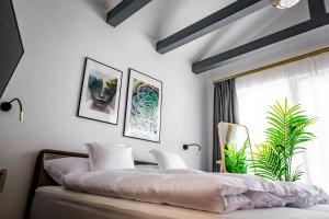 Tisza Camping Apartmanház