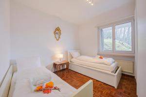 Casa Al Bosco With Pool - Happy Rentals