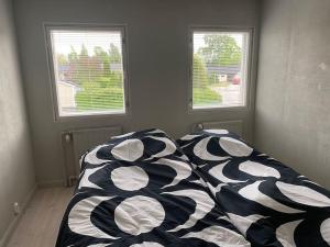 Iso kaupunkikoti Vanhan Rauman lähellä