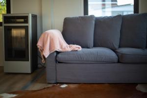 Houten huisje tussen paarden