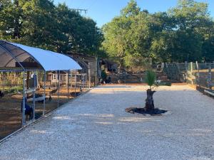 Sejours a la ferme La Ferme Des Vergnes : photos des chambres