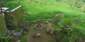 Villa Cetok Syariah - Nuansa Pedesaan