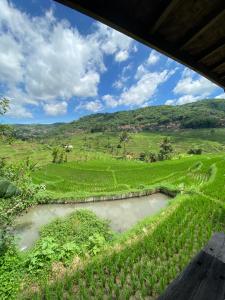 Villa Cetok Syariah - Nuansa Pedesaan