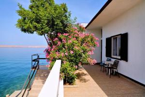 Kuća za odmor DRAGA