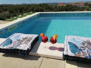 Villa Scolopax rusticola Skradin with heated pool