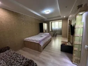 One-room apartment opposite Almaty Airport - 卡普恰盖