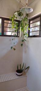 Bannockburn Guest Cottage