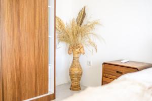 New 3BR Villa in Canggu