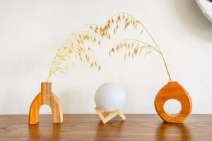 New 3BR Villa in Canggu