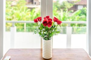 New 3BR Villa in Canggu