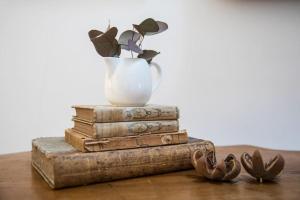 Maison Saint Antonin