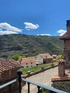 Abuela camerana - Pradillo