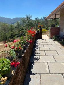 Thendral: Delightful homestay on a hill near Ooty