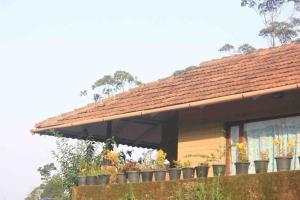 Thendral: Delightful homestay on a hill near Ooty