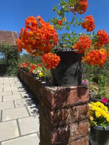 Thendral: Delightful homestay on a hill near Ooty