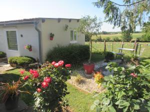 B&B / Chambres d'hotes LA BAROUD' ER : photos des chambres