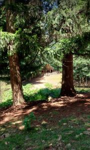 Tentes de luxe Cabane Salamandre : photos des chambres