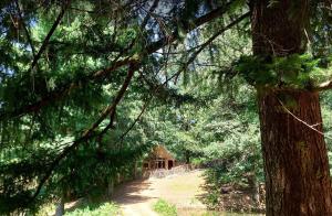 Tentes de luxe Cabane Salamandre : photos des chambres