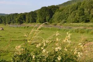 Maisons de vacances Authentic home in Semoy valley (France) : photos des chambres