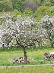 Maisons de vacances Authentic home in Semoy valley (France) : photos des chambres