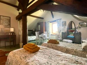 B&B / Chambres d'hotes Chateau d'Ingrandes : photos des chambres