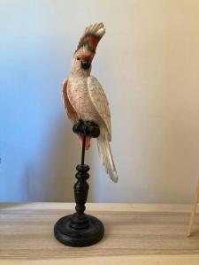 Le Fernandol by La Familia