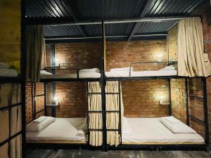 Giường Tầng Trong Phòng Ngủ Tập Thể Cho Nam Và Nữ (Bunk Bed in Mixed Dormitory Room)