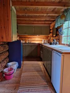 Lakeside wilderness cabin