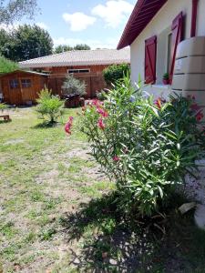 Sejours chez l'habitant manon : Appartement - Vue sur Jardin