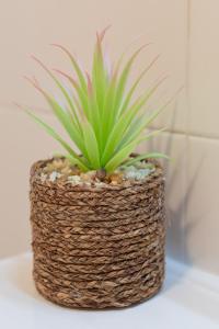 Indamendi - baskeyrentals